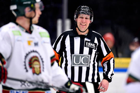 Domare Morgan Johansson