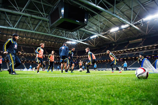 Zlatan Ibrahimovic, Pierre Bengtsson, Pontus Wernbloom,