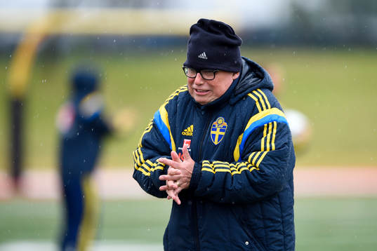 Sveriges Läkare Yelverton Tegner