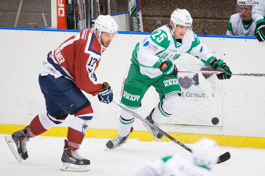Hamburg Freezers Thomas Oppenheimer och Rögle hockeys