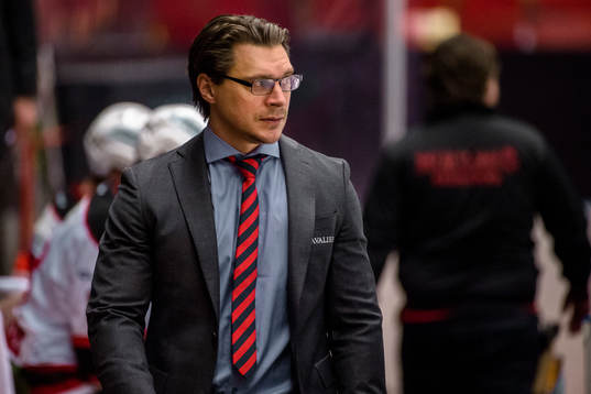 Malmö Redhawks tränare Björn Hellkvist deppar