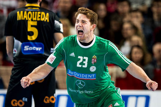 Ungerns Rudolf Faluvegi jublar