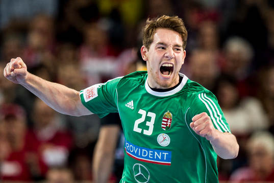 Ungerns Rudolf Faluvegi jublar