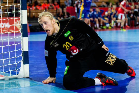Sveriges målvakt Mikael Appelgren