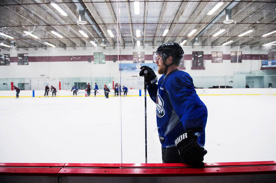 Gabriel Landeskog