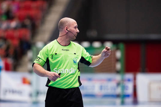 Domare Niclas Persson