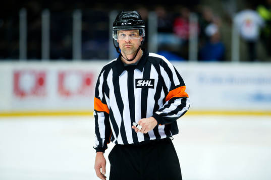 domaren Mikael Nord