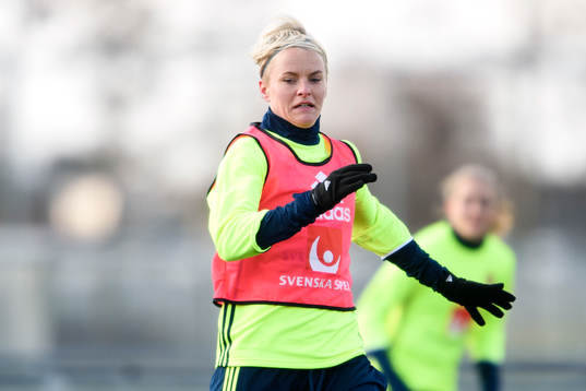 Sveriges Nilla Fischer