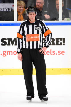 Domare Morgan Johansson
