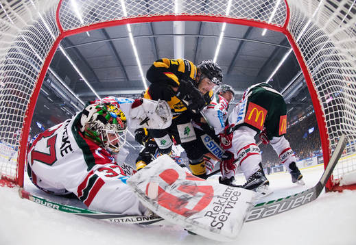 Bläddra bland fler bilder av Ishockey, SHL, Final 3, Skellefteå - Frölunda