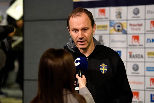 Domare Jonas Eriksson