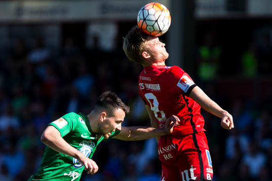 Jönköpings Dzenis Kozica