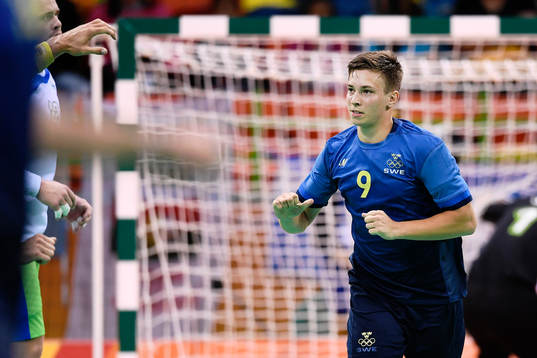 Sveriges Jerry Tollbring jublar i handbollsmatchen mellan