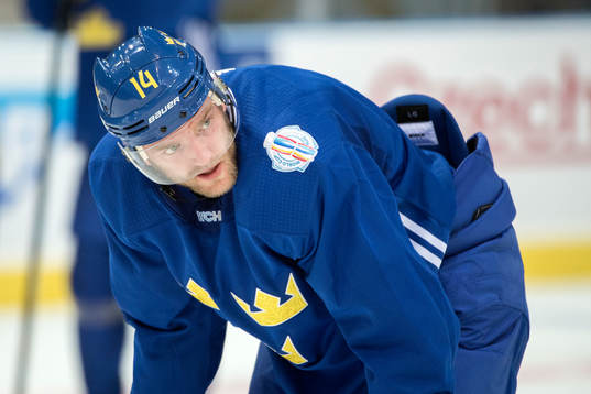 Sveriges Mattias Ekholm