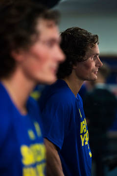 Sveriges Loui Eriksson