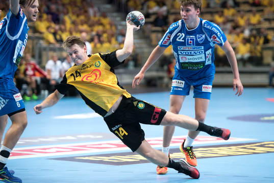 Sävehofs Johan Fagerlund