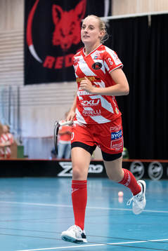 Pixbos Alicia Fylke