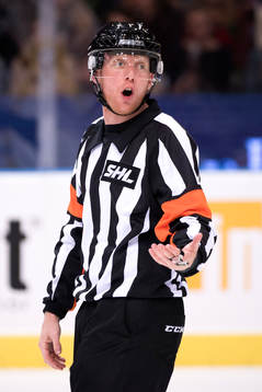Domare Mikael Holm