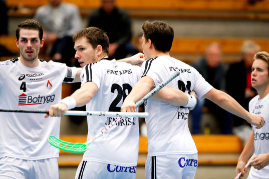 Linköping jublar