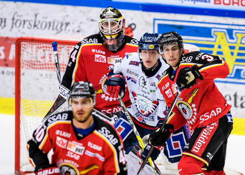 Linköpings Vilmos Gallo