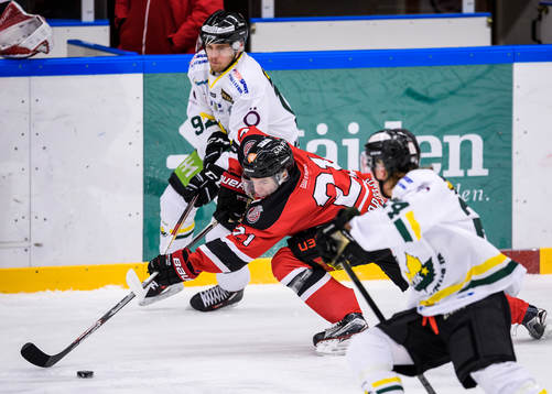 Piteås Alexander Forsberg