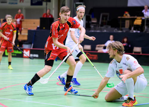 Wibaxs Joel Wadsten