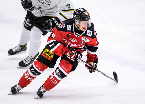 Piteås David Pettersson