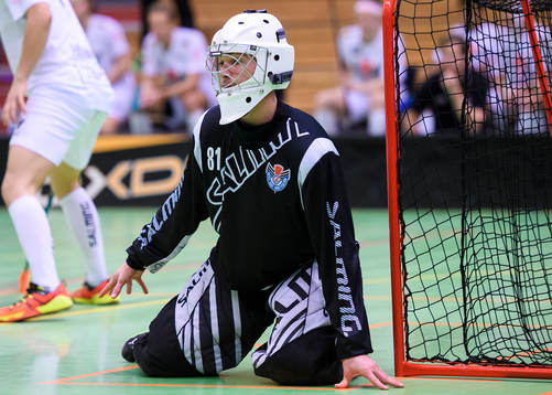 Gävles målvakt Felix Andersson
