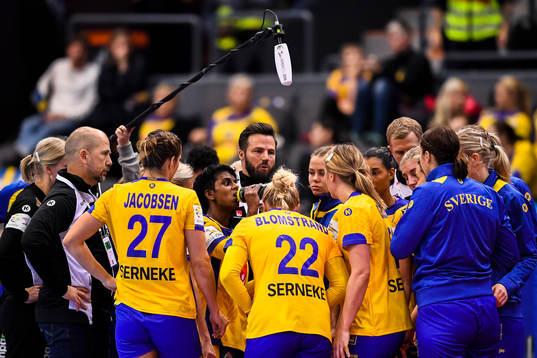 Sveriges förbundskapten Henrik Signell tar timeout