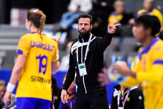 Sveriges förbundskapten Henrik Signell