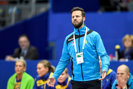 Sveriges förbundskapten Henrik Signell