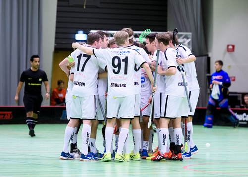 Strängnäs spelarna jublar