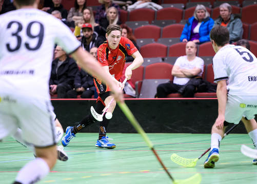 Wibaxs Joel Wadsten