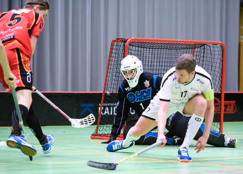 Strängnäs målvakt Henrik Ojeda Mayta