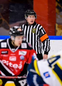 Domare Fredrik Stenerfelt