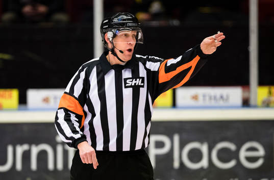 Domare Morgan Johansson