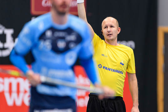 Domare Daniel Skoog