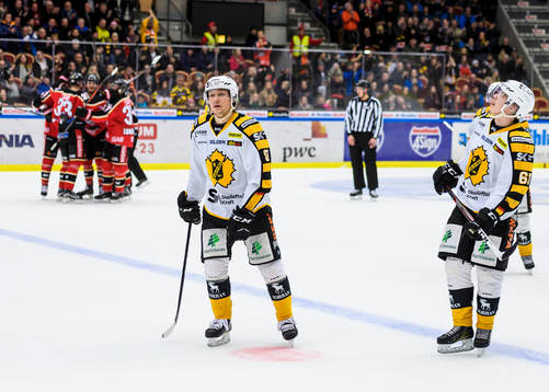 Skellefteås Andreas Wingerli deppar