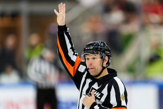 Domare Wolmer Edqvist