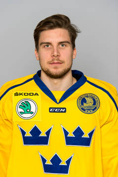 Sveriges Henrik Tömmernes