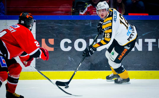 Skellefteås Adam Pettersson