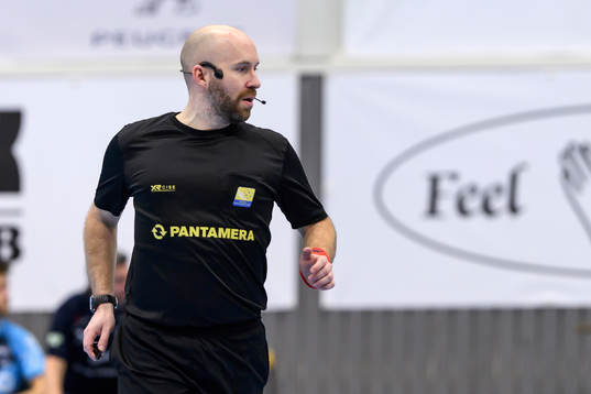 Domare Andreas Lybacken