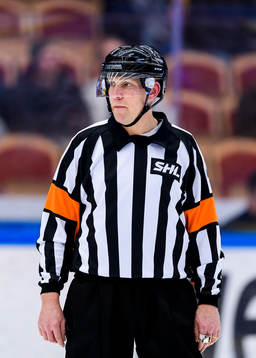 Domare Morgan Johansson