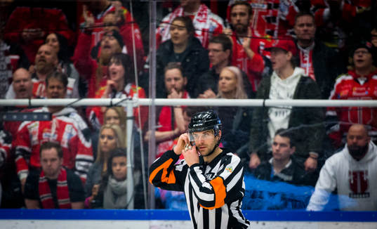 Domare Mikael Sjöqvist