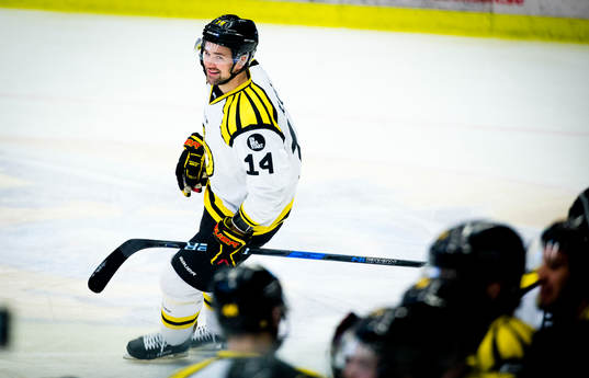 Brynäs Johan Alcén gör 0-3 och jublar