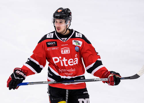 Piteås David Selberg