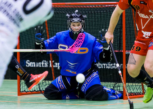 Wibaxs målvakt John Stiglund