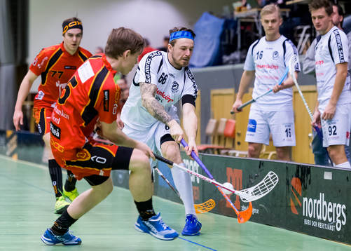 Täbys Anton Harsem