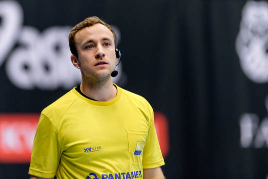Domare Roland Alexandersson