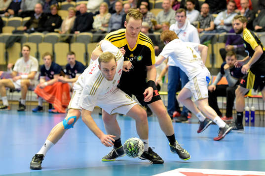 Ricohs David Florander och Sävehofs Atli Ingolfsson